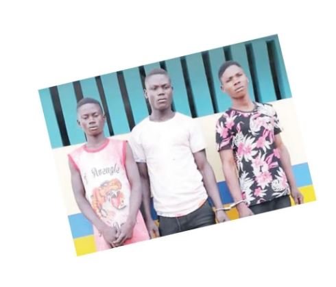 3 Men Arrested For Gang-Raping And Filming A 16Yr Old Girl In Ogun