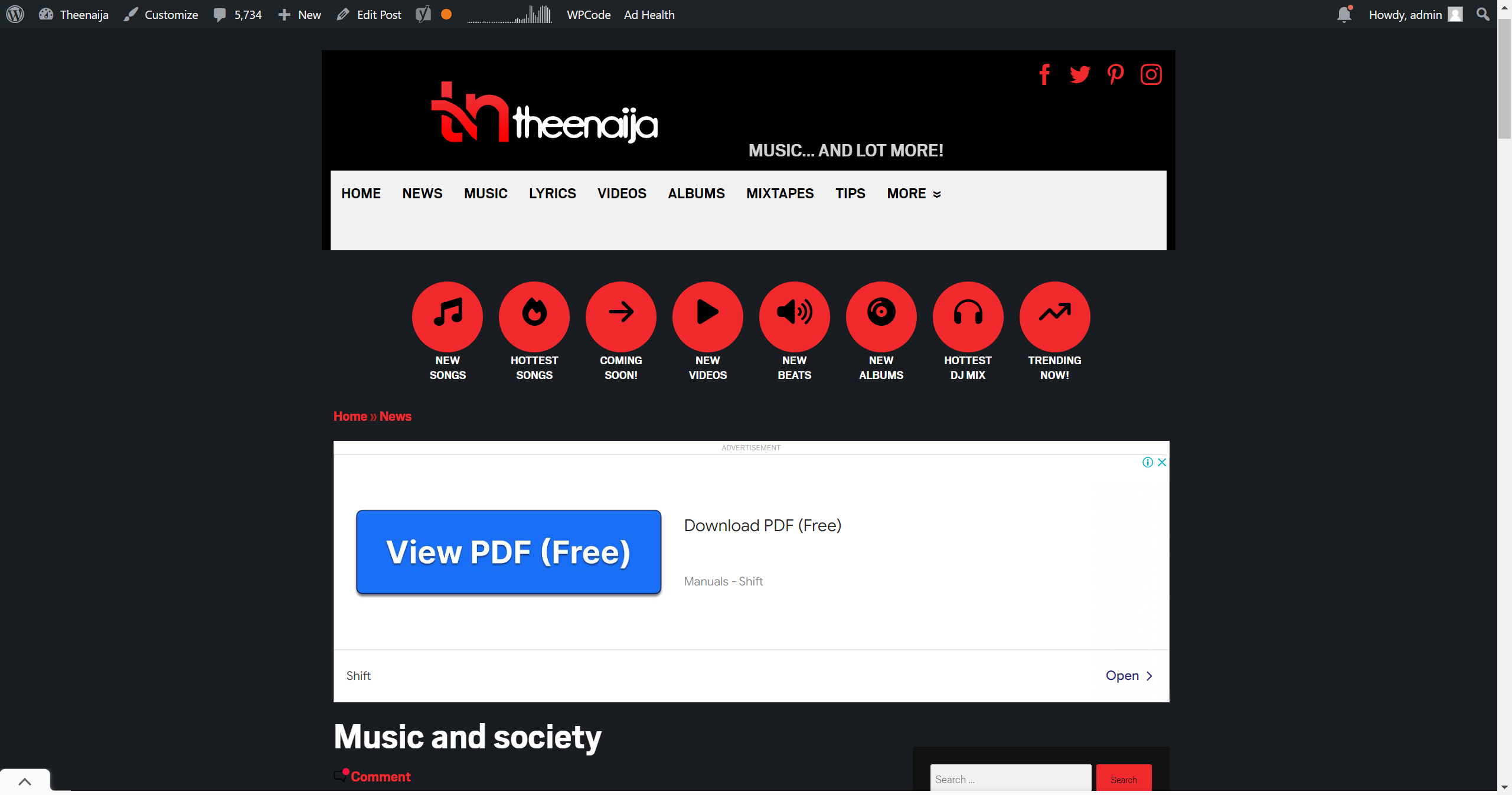 AdSense Monetized 30k daily traffic Music Website – theenaija.net – Up for Sale!